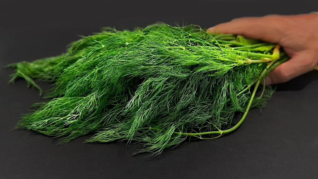 A vibrant healing plant known for its natural health benefits and healing properties.